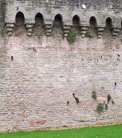 <p>L&rsquo;Atlas des villes fortifi&eacute;es</p>