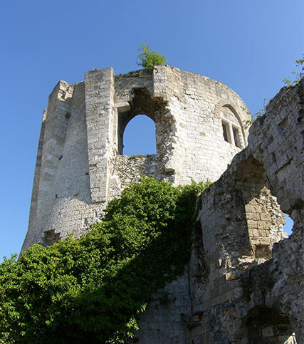 <p>Site internet</p>