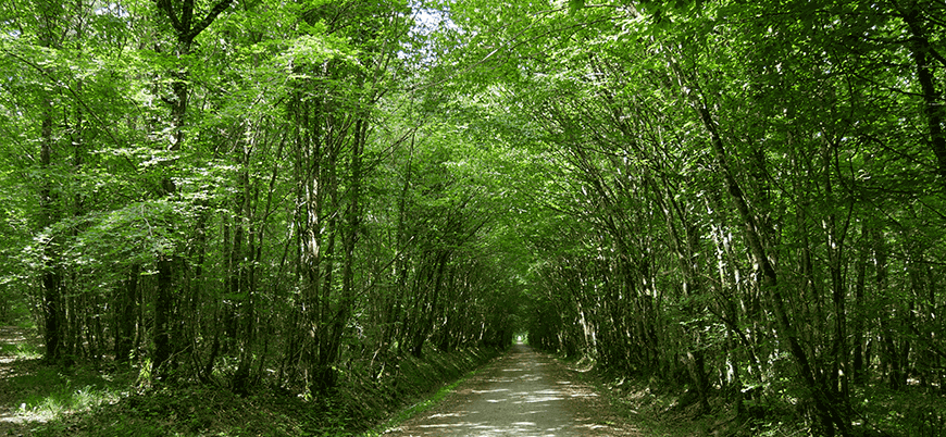 Arrière-plan décoratif